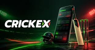 The Future of Digital Cricket Betting Platforms in Modern Gaming