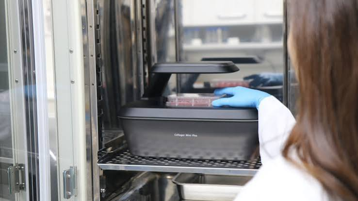 7 Things Most Labs Get Wrong When Choosing an Automated Cell Imaging System